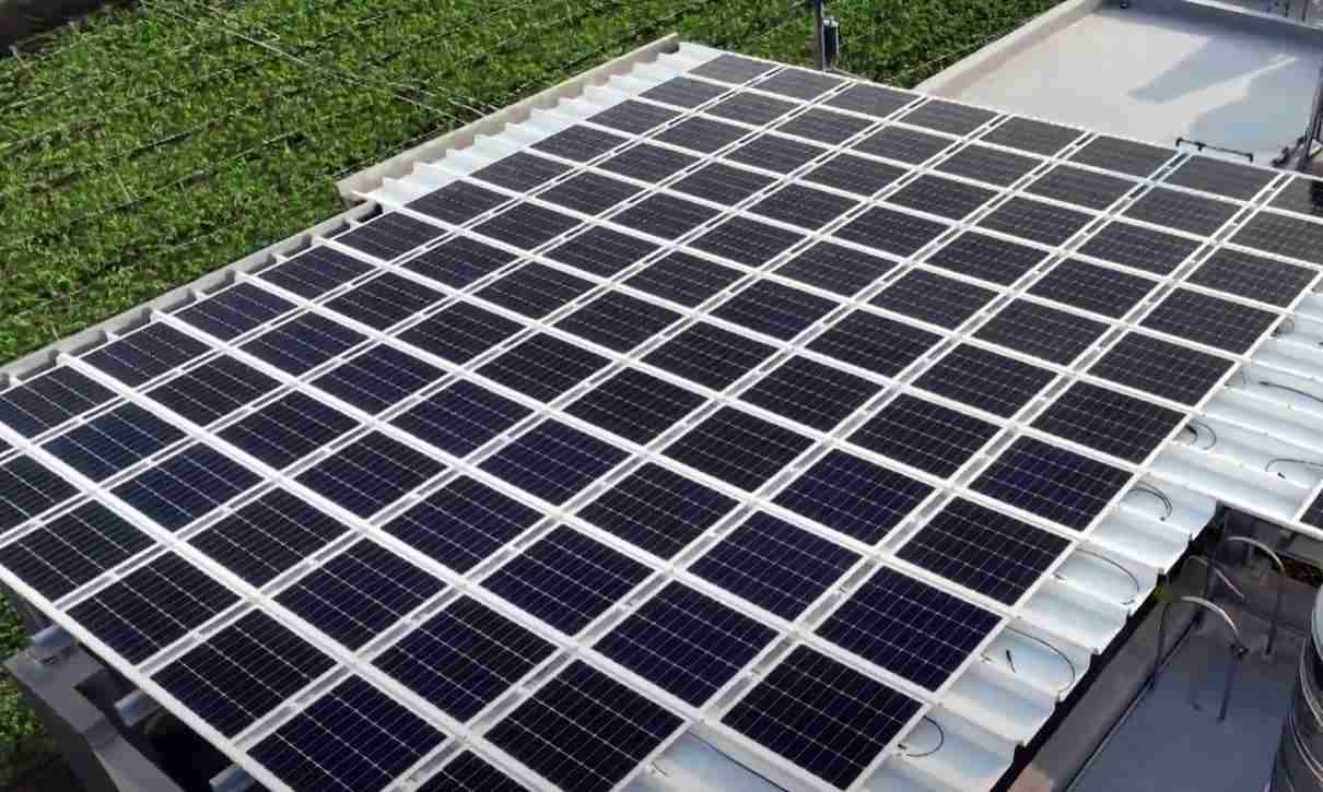 JDB电子SunSteel光电浪板升级双玻结构，，，以提升机械负载强度及气候耐候度，，，可广泛运用于多元场域